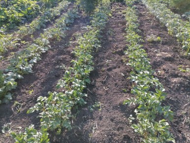 ��� �������� �������� �����������: ������ ����� � ������ ������