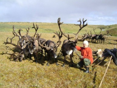 ��������� ������������ � ���� ���������� �� 57%