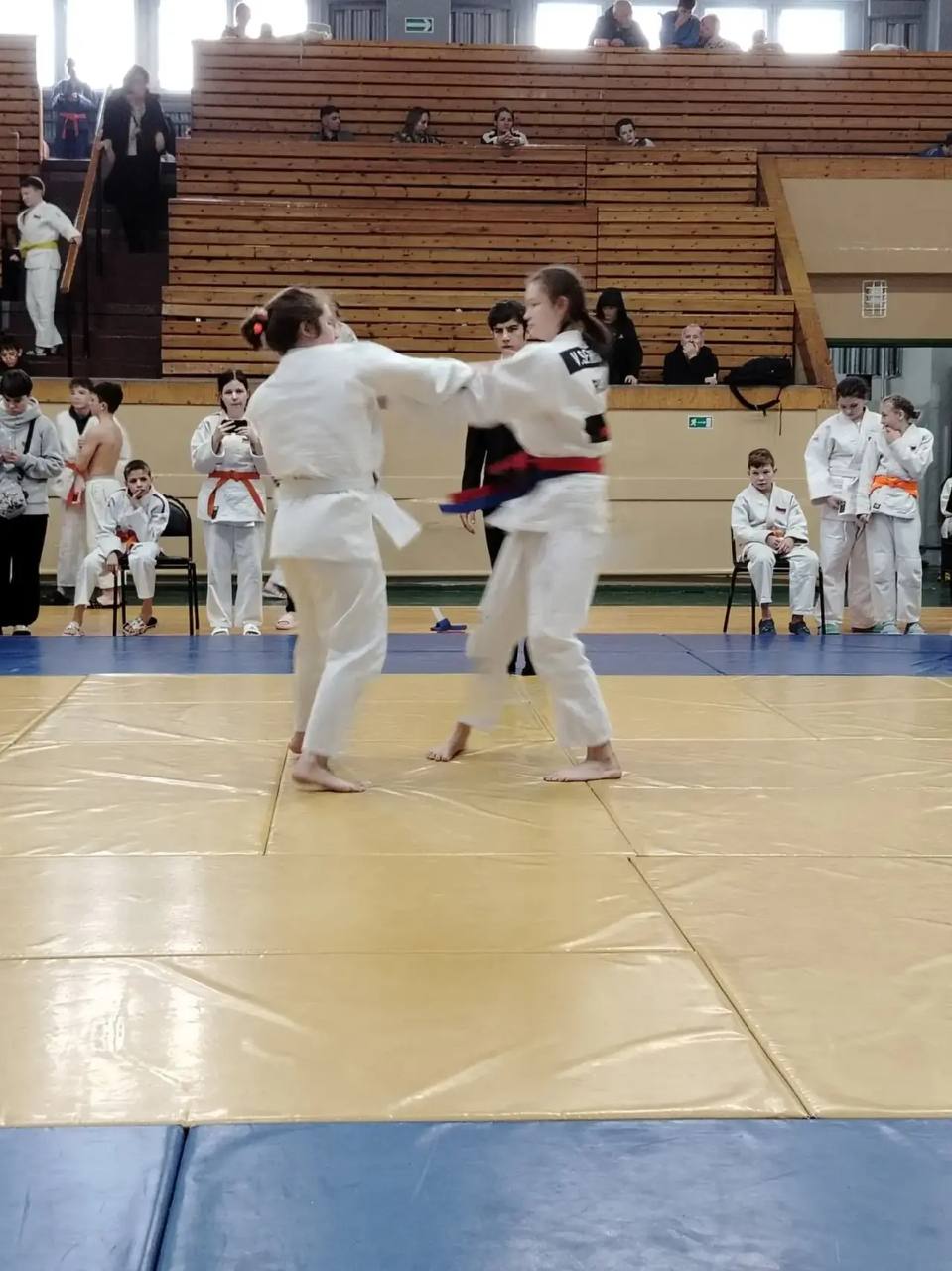 Максим Мартышин: Друзья!. Наши юные дзюдоисты достойно представили Сыктывкар на республиканских соревнованиях Максим Мартышин: Друзья!. Наши юные дзюдоисты достойно представили Сыктывкар на республиканских соревнованиях