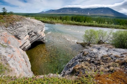 ��������� �������������� ��������������� ���������� �� ��������� ������ ������������ ���������