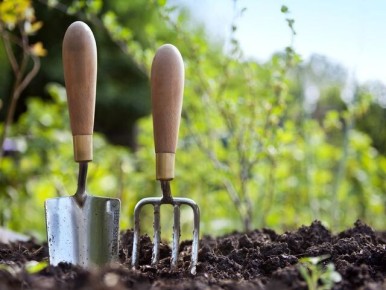 ������� ��������� ��������������: ��� �������� ���������������� ������