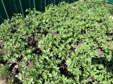 ������ ��������� ������ ������, � ����� ������: �������� �������