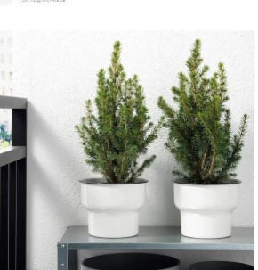 �������� ���������� �����: ������ ����� ���������� ���� �� ������� � ����� ����