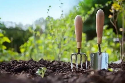 Тайны рыхления: зачем это так важно для растений