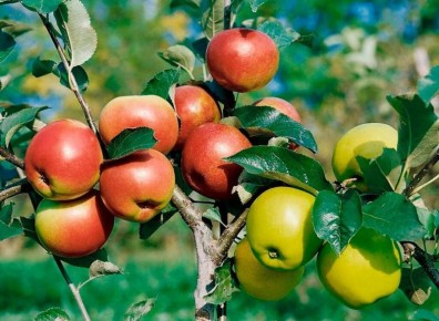 �������, �������������! ��������� ������������ � ����� ����