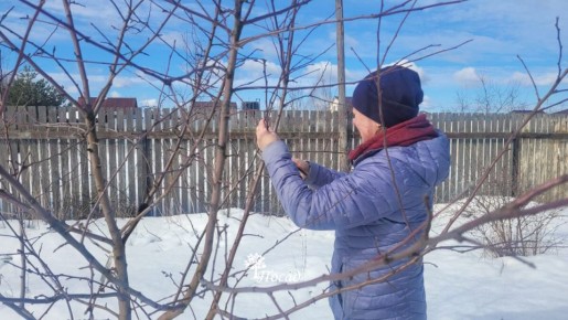 ����� ��� ��������: ��� ���������� ����������� �������