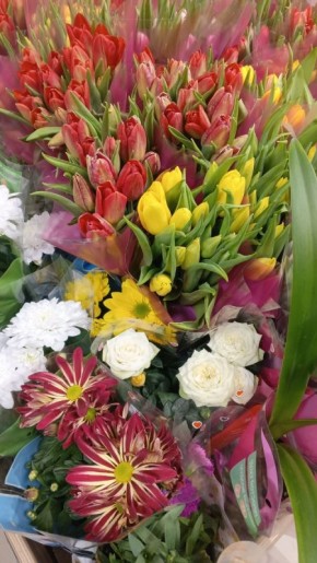 ��� ����������� ������� � ��������� �������� ����� � 66 ���