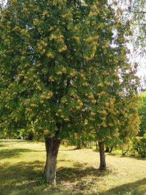 ������������� ��� ������������� �������� � 2026 ����: ������ � �����������