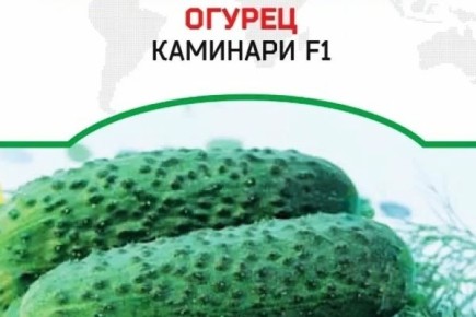 Огурец Каминари: секреты успешного выращивания популярного гибрида