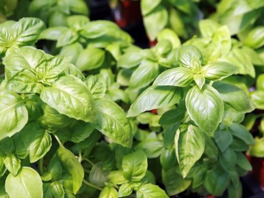 ������� � �������: ��� ������� ������ ��������� ��� �����