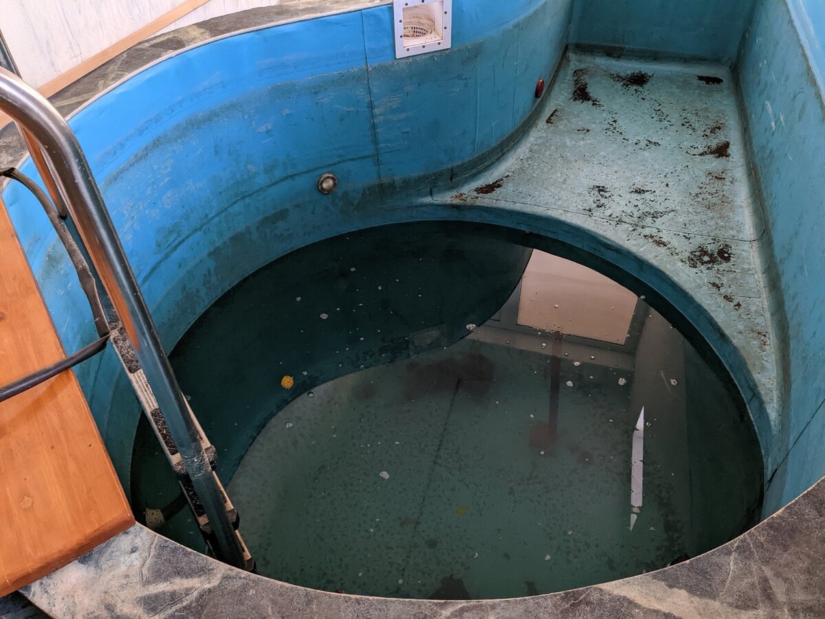 Секреты зимовки нимфей: как они пережили зиму в дачном бассейне