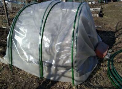 Легкий способ построить парник для рассады