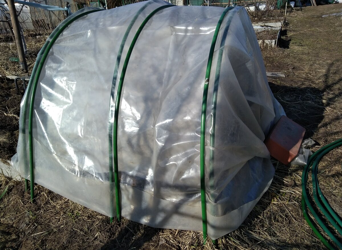 Легкий способ построить парник для рассады