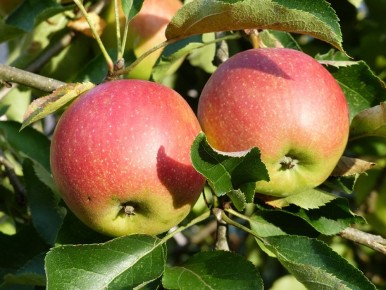 ���������� ����� � ���������� ������� � ���������� ������������