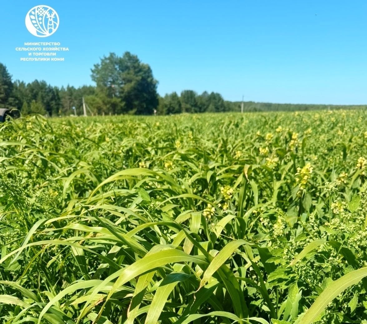 Растениеводство в Коми получит новый вектор развития
