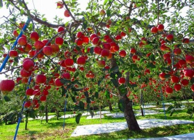 �����������: ��� �������� ��� �� ���� ������� ������