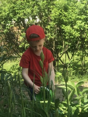 ��� ��������� �������� �������� � ����: ������ ��� ������ ����