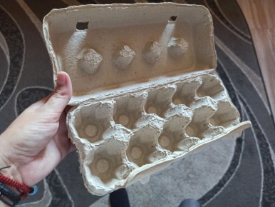 Необычное использование яичных лотков для хранения урожая