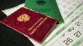 Как многодетным семьям увеличат пенсионные баллы за скрытый стаж