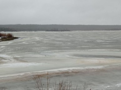 Максим Мартышин: Наступает время пробуждения природы