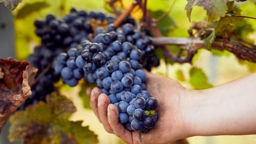 ��������� � ��������������: ����� ������ �� ������