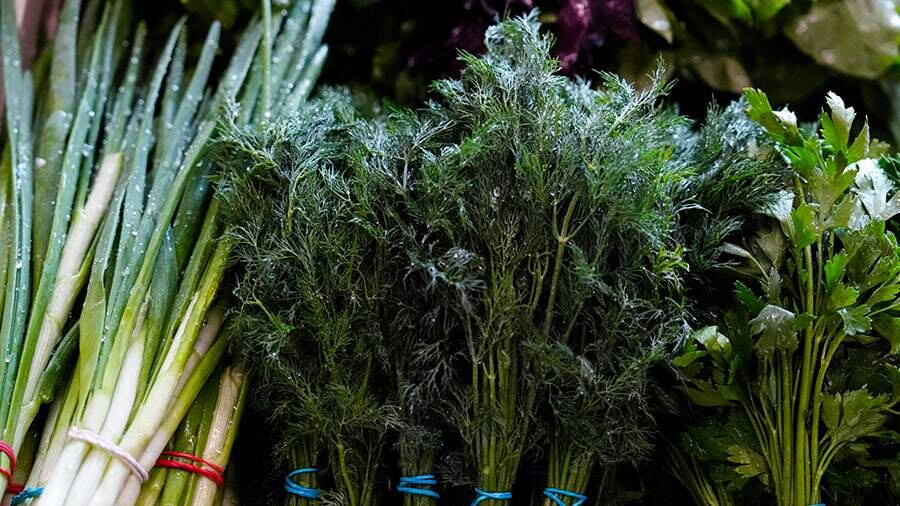 Зелень в кухне: советы нутрициолога по оптимальному использованию