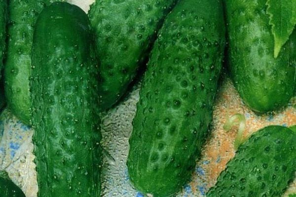 ������ ��������: ������� ��������� ����� � ����������� ������