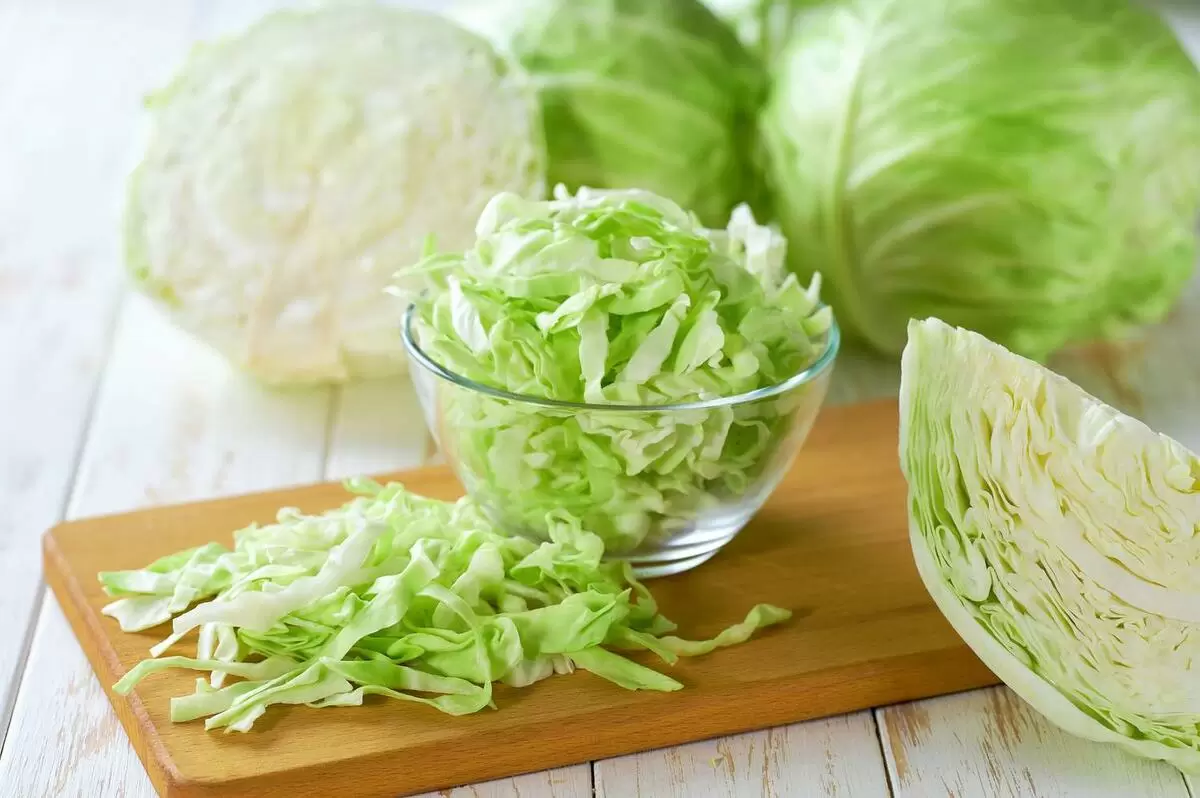 Капуста: овощ, который знает сотни рецептов