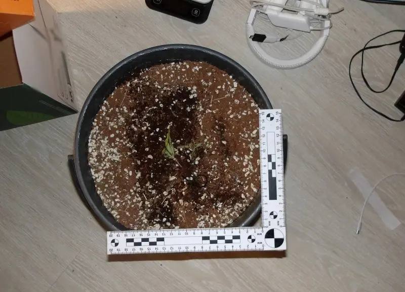 В Сыктывдинском районе полицейские задержали электровелосипедиста по подозрению в незаконном обороте наркотиков В Сыктывдинском районе полицейские задержали электровелосипедиста по подозрению в незаконном обороте наркотиков