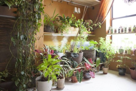 ������� ��������� ������������: ������ ���� �������� ������, � ������ �� ��������?