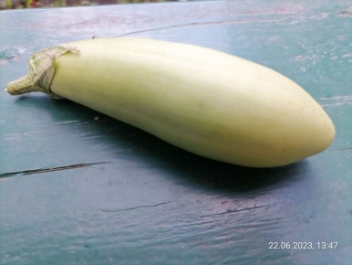 ������ ���� ������: ��� ������� ��������� �� ����