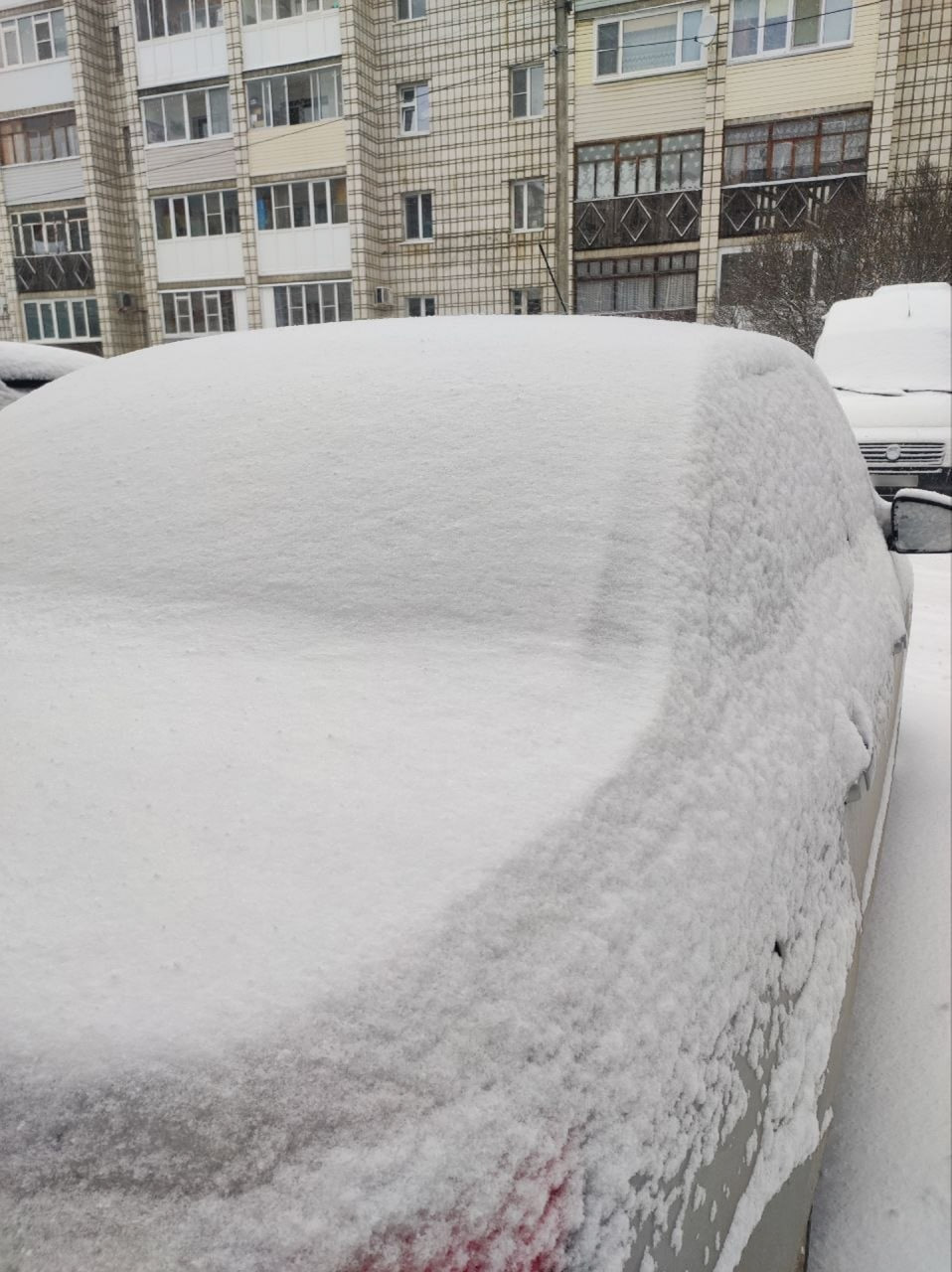 99 января 8 апреля в Коми выглядит так 99 января 8 апреля в Коми выглядит так