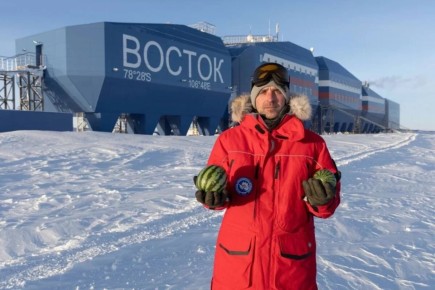 Арбузное чудо в Антарктиде: полярники собрали уникальный урожай