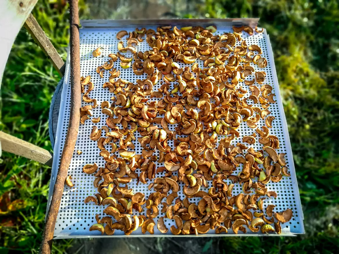 Летние секреты: как эффективно сушить фрукты и овощи на солнце