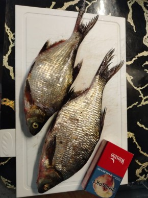 �������� ������ ������: ������� ������ ��������� ���� �� ���� � �����