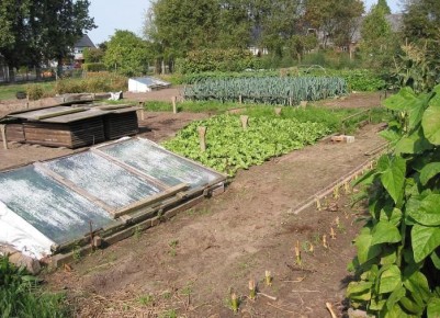 ������ ������� �� ������ �������� ��������?