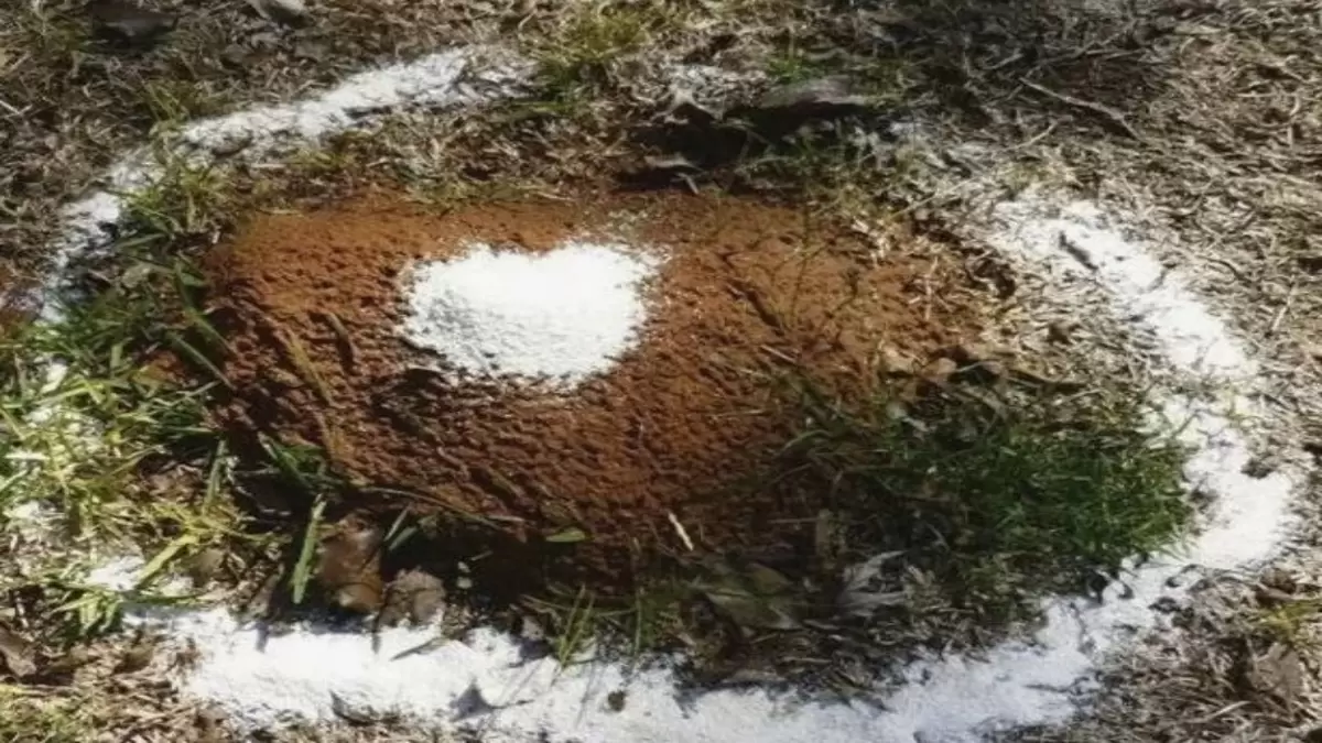 Соль у порога и возле кровати: работать ли таким советам из интернета?