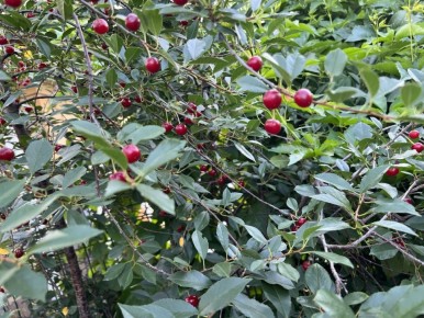 ������� ����������: ��� ����� �������� � ����