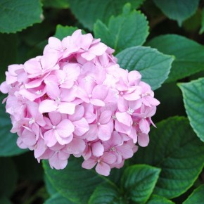 ��������� � ������ �����: ��� �������� ������� �������� � ������� ��������