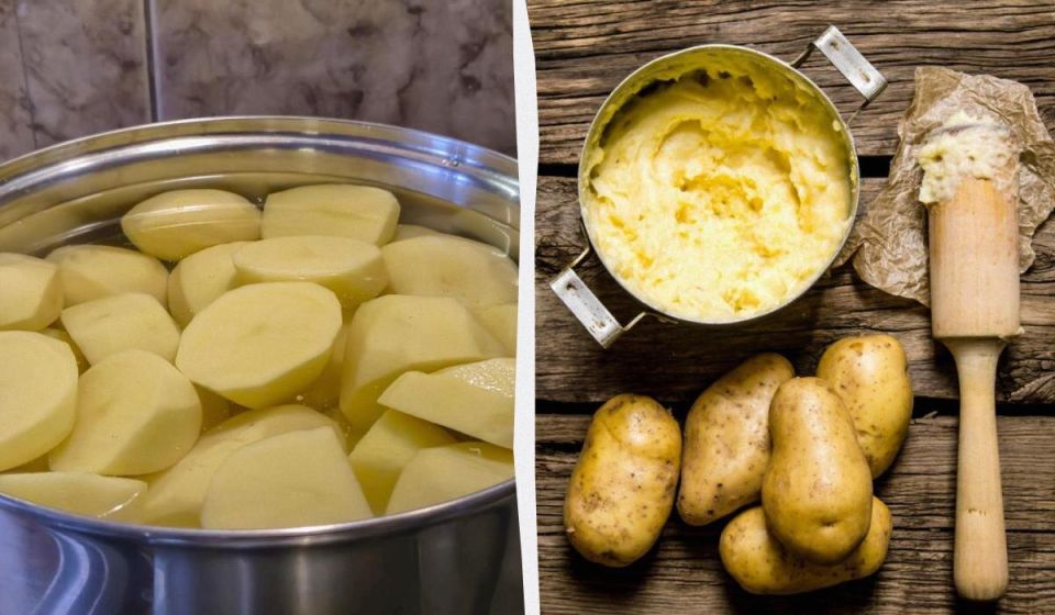 ��������� ������������ ����: ��� �������� �������� � �����������