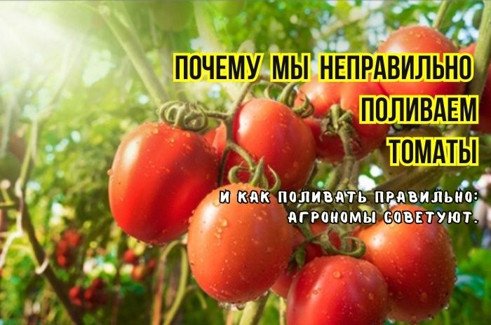 ����� ������ �������: ��� �������� ���������������� ������ � ��������� ������