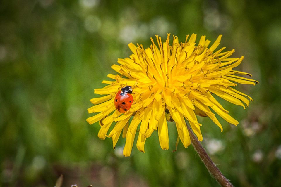 ���������: ����������� �������� � ������ � ��� � ������ �������� ������ ����