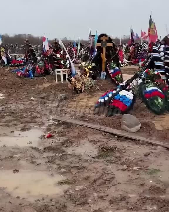 ����� ���������� Readovka � ���������� ������� � ������� ������ ������ ���