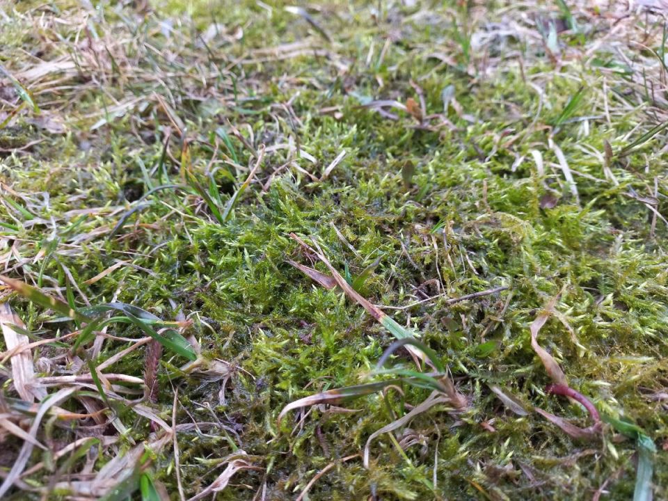 ��� �� �������: ��� ������� ����� � �����