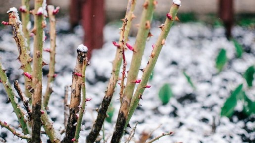 ������ ��� ������� ���: ��� �� �������� ������� ����� �����