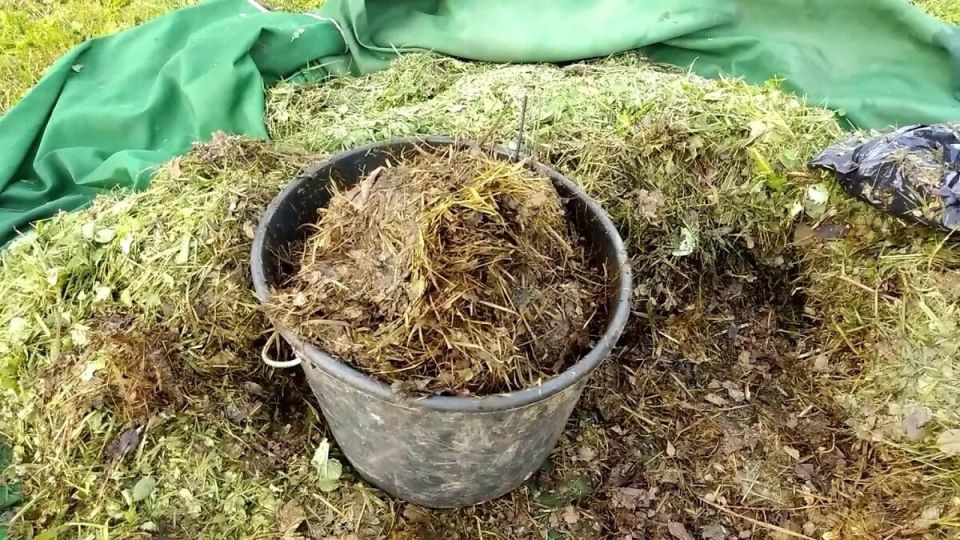 ������� ������: ������� ��������� ������� ������