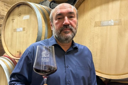 ������� ������ ���������� ���������: �� ������ �� ������������� ���������