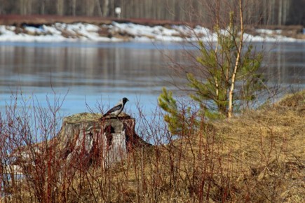 На следующей неделе ожидается неустойчивая погода