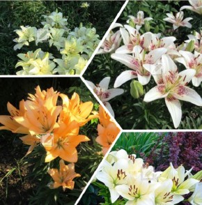 ����� � ��� ������������ ����� ������