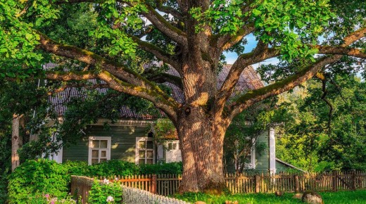 ������� �������: ��� ����� ����� ����� ��������